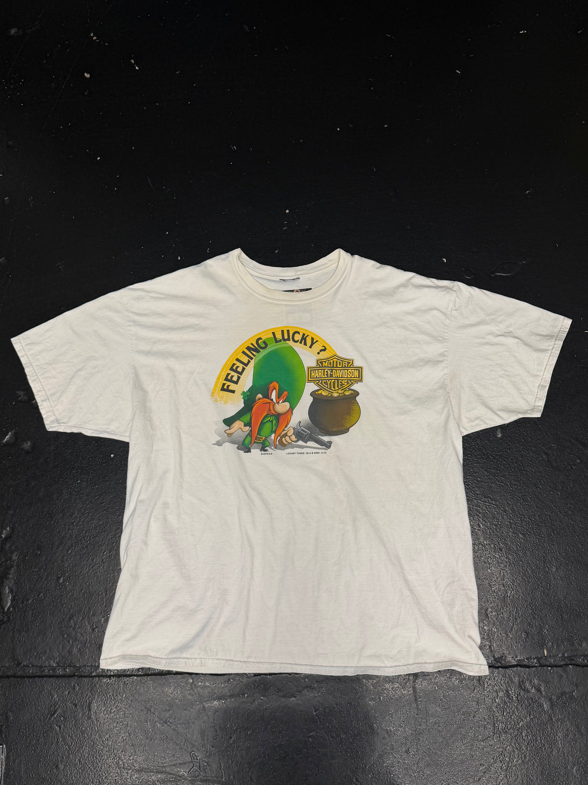 HARLEY DAVIDSON FEELING LUCKY T-SHIRT