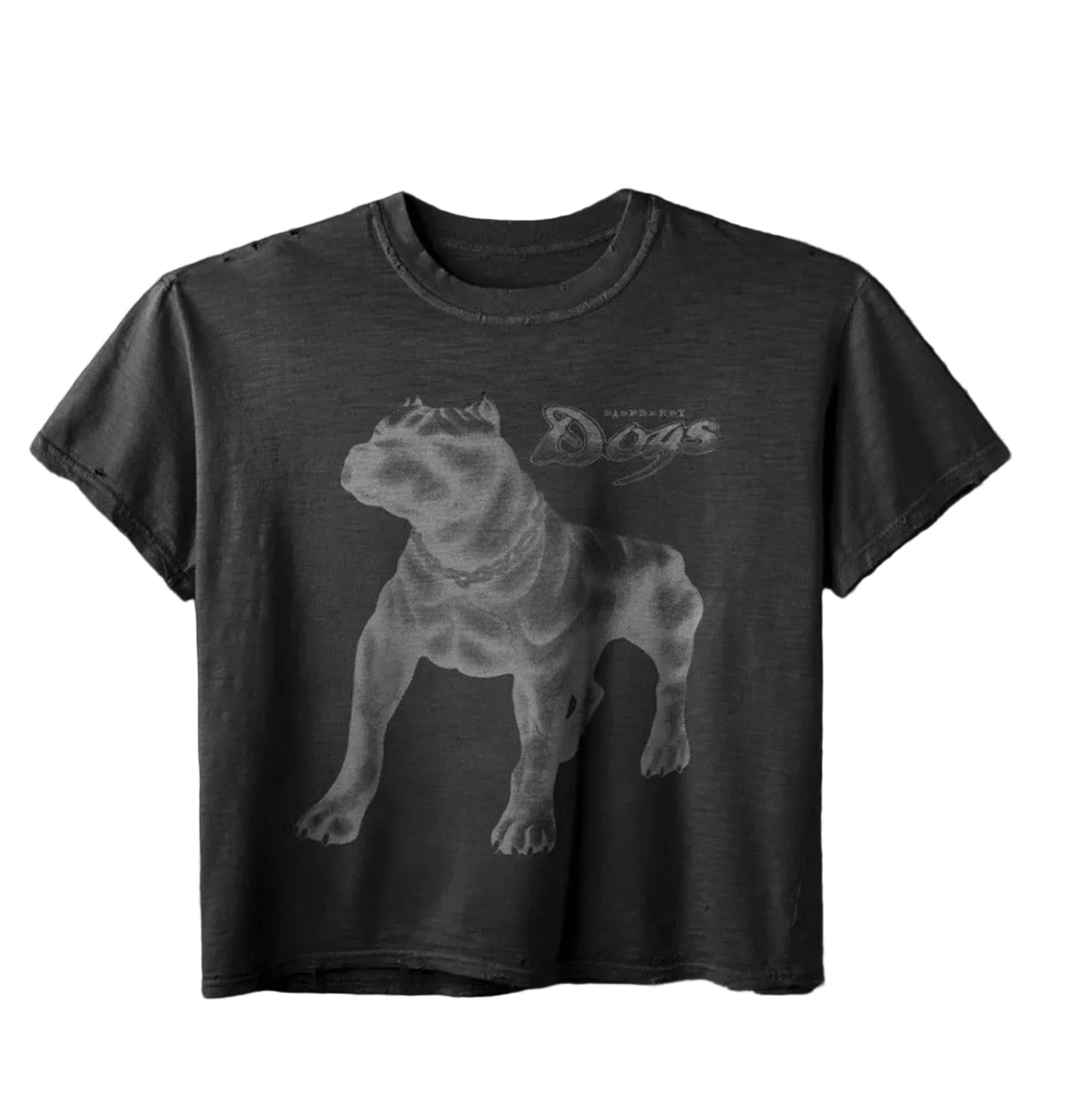 RASPBERRY HILLS GV GALLERY DOGS DISTRESSED DOG TEE