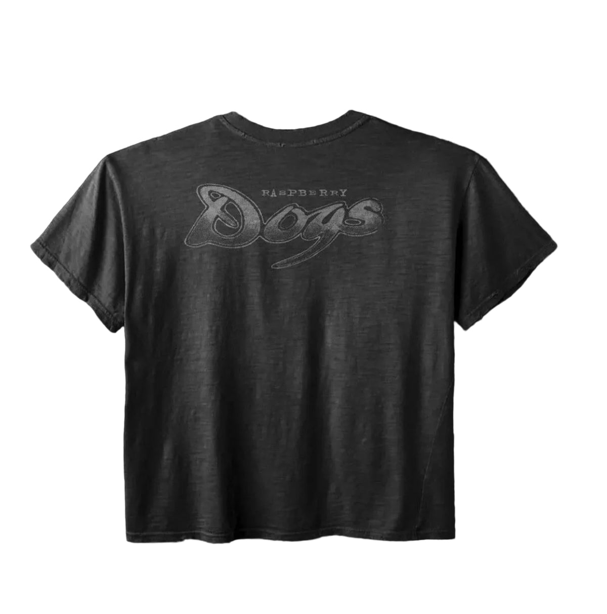 RASPBERRY HILLS GV GALLERY DOGS DISTRESSED DOG TEE