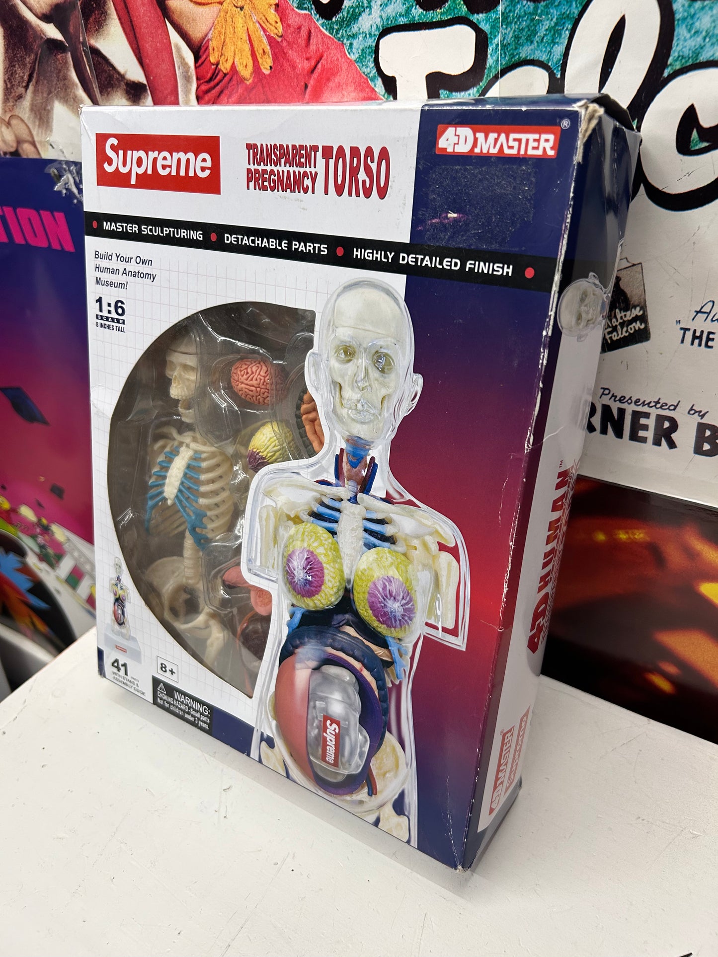 SUPREME MALE ANATOMY MODEL (BRAND NEW)