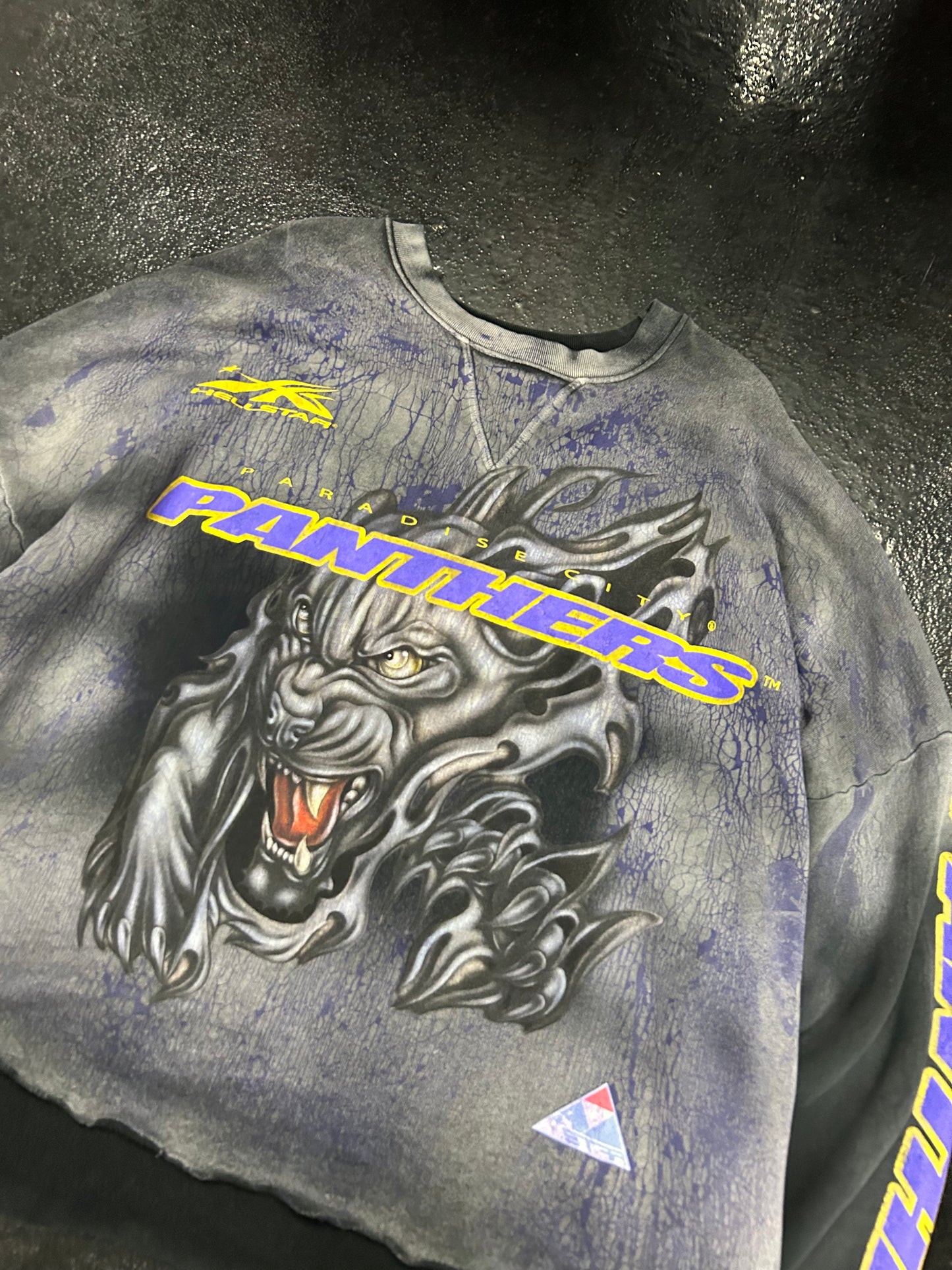 HELLSTAR PANTHER LONG SLEEVE (BRAND NEW)